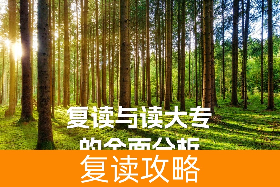 高考落榜：复读与读大专的全面分析